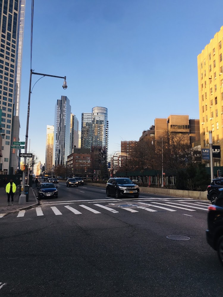 Long Island University Brooklyn in Brooklyn — photo 4