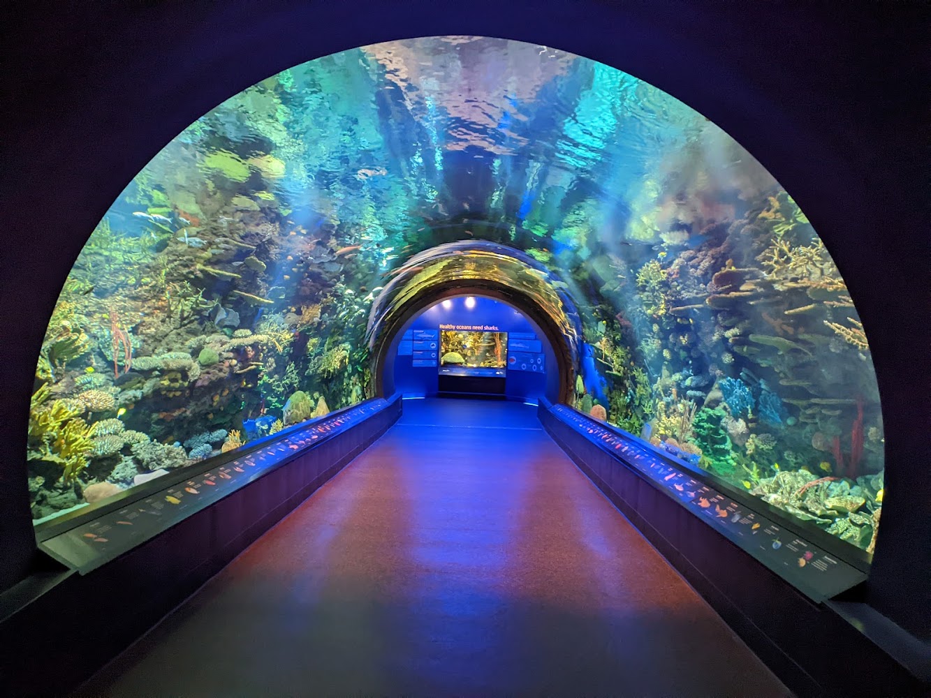 New York Aquarium photo 1