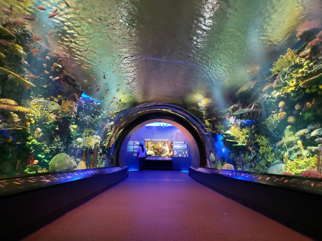 New York Aquarium in Brooklyn — photo 2