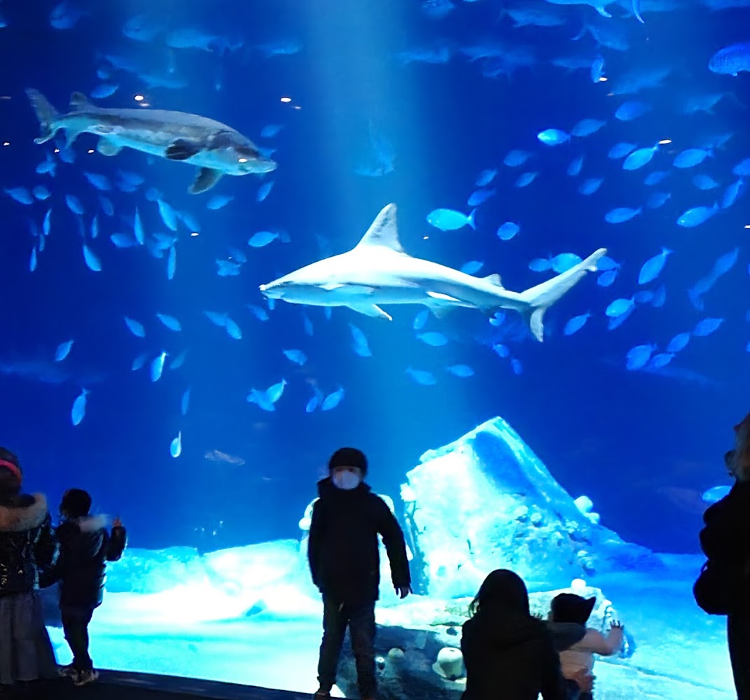 New York Aquarium in Brooklyn — photo 3