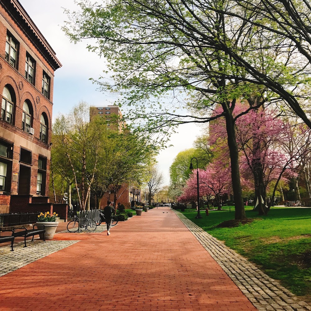 Pratt Institute in Brooklyn — photo 4