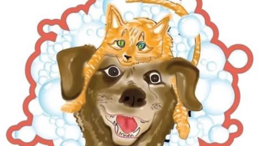 Brooklyn Pet Spa in Brooklyn, California