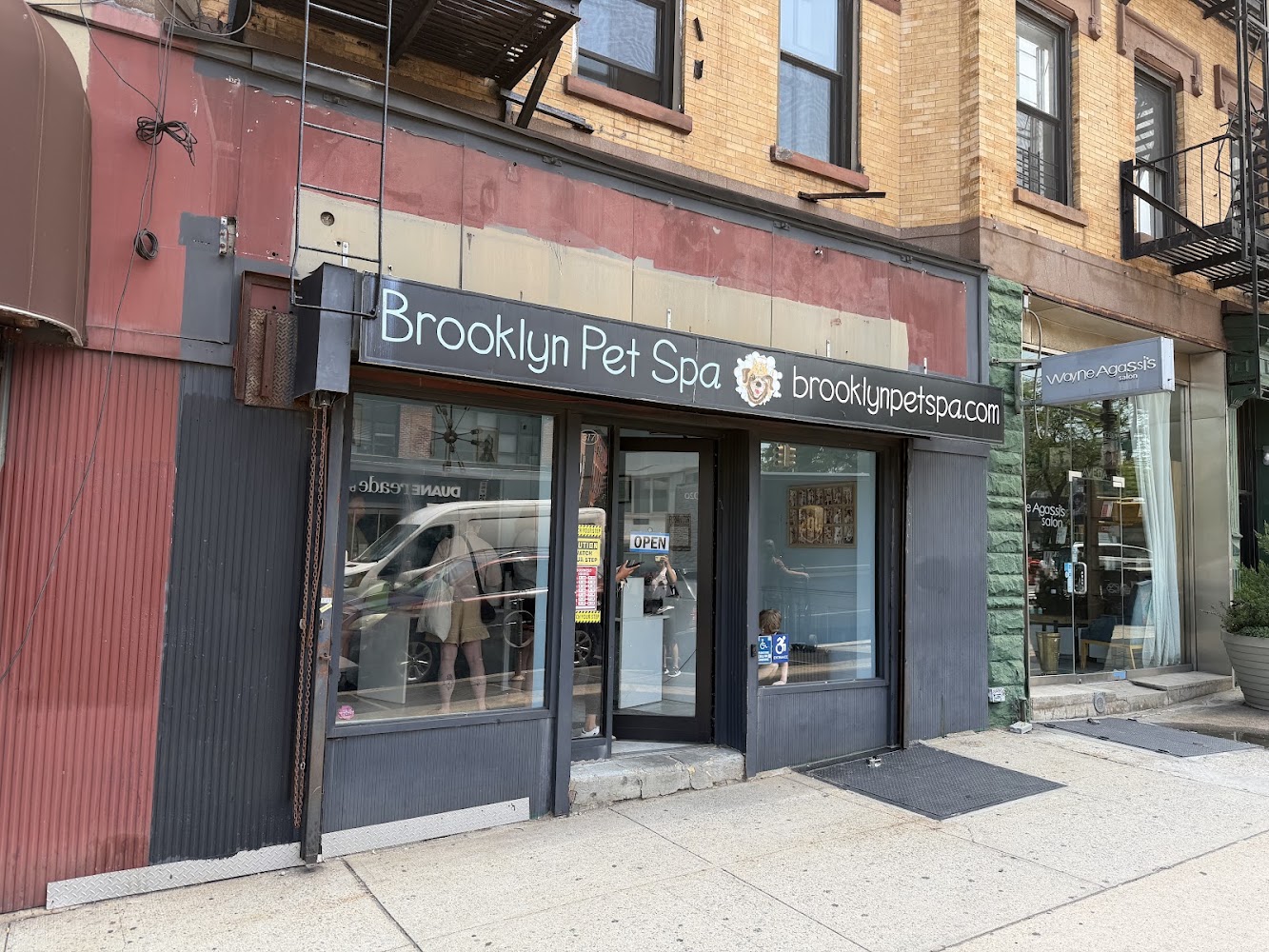 Brooklyn Pet Spa in Brooklyn — photo 3