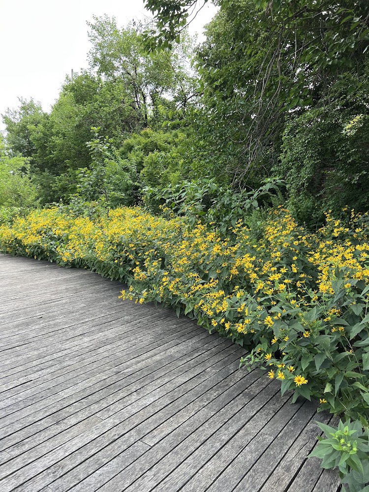 Brooklyn Navy Yard in Brooklyn — photo 4